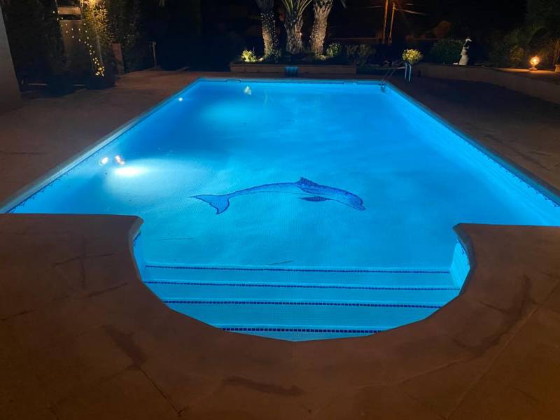 professionnel renovation construction piscine saint raphael 