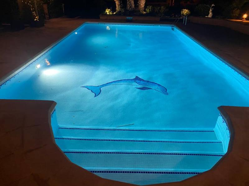 societe renovation piscine saint raphael 